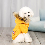 Pet dog clothes wool hat clothes cotton clothes