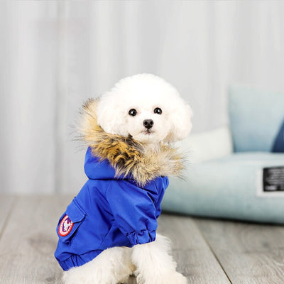 Pet dog clothes wool hat clothes cotton clothes